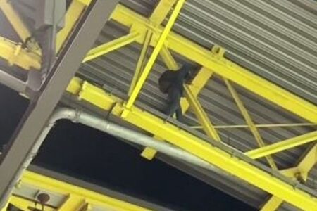 【ユーロ2024】男がスタジアムの屋根に登り逮捕、試合中断時に