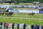 アイルランドの競馬で大波乱、先頭を走っていた馬が柵に激突【動画】