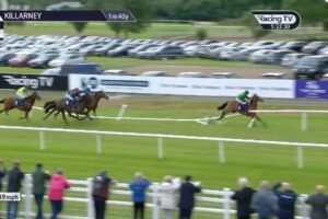 アイルランドの競馬で大波乱、先頭を走っていた馬が柵に激突【動画】