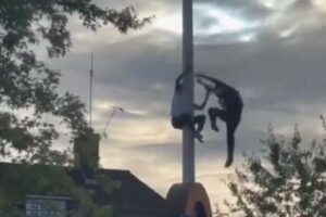 クリケットでインドが優勝、喜んだファンがポールに登るも落下【動画】