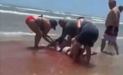 海水浴客も恐怖、血に染まった浅瀬にサメに噛まれた女性【動画】