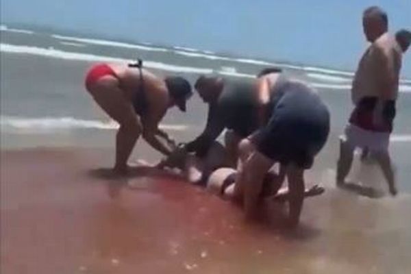 海水浴客も恐怖、血に染まった浅瀬にサメに噛まれた女性【動画】