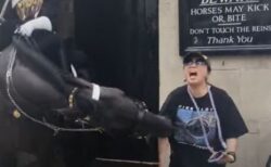 イギリスの衛兵が乗った馬、近づいてきた観光客の腕を噛む【動画】