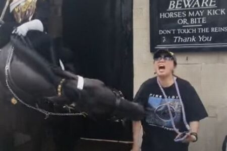 イギリスの衛兵が乗った馬、近づいてきた観光客の腕を噛む【動画】