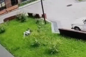 13階から落ちた女性を監視カメラが録画、ほぼ無傷でその場を立ち去る【動画】