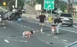 高速道路の事故現場にオムツをはいた2人の幼児、一体なぜ？【動画】