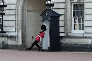 これは恥ずかしい…バッキンガム宮殿の衛兵が滑って尻餅をつく【動画】