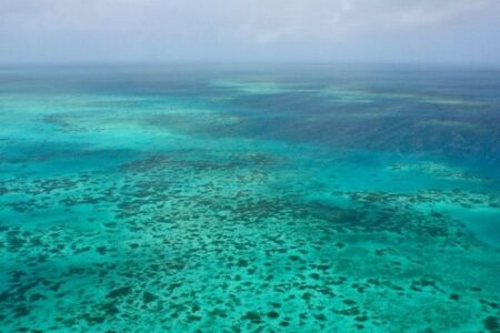 グレートバリアリーフにおける過去10年間の海水温、400年間で高水準