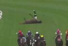 豪の競馬場で突然、馬が転倒！肺から出血し、もがき苦しむ【動画】