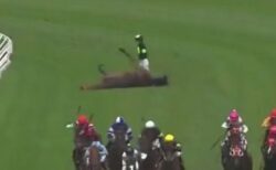 豪の競馬場で突然、馬が転倒！肺から出血し、もがき苦しむ【動画】