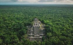 メキシコの密林で男性が学生時代に見つけた遺跡、マヤ文明の大都市だったと判明