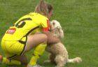 女子サッカーの試合中、選手が飼っていた犬がピッチに侵入【動画】