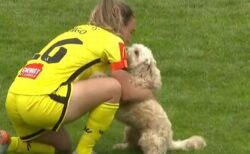 女子サッカーの試合中、選手が飼っていた犬がピッチに侵入【動画】