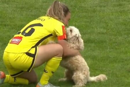 女子サッカーの試合中、選手が飼っていた犬がピッチに侵入【動画】