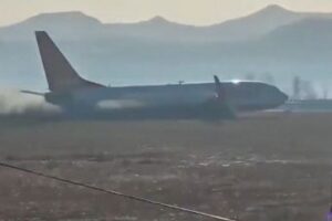 韓国の航空機事故、原因はバード・ストライクか?推定179人が死亡、2人が救助