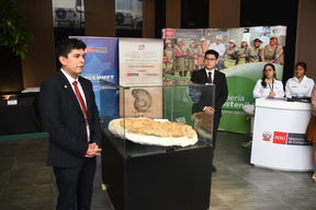 【画像2枚】ほぼ完全体で初発見！ 1000万年以上前にいたワニの幼体の化石とは