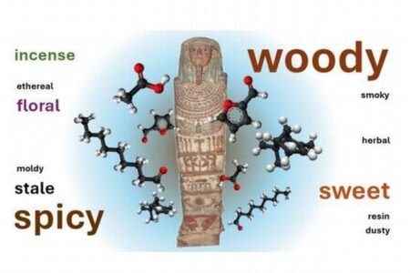 エジプトで発見されたミイラ、5000年経っても「いい匂い」が残っていた