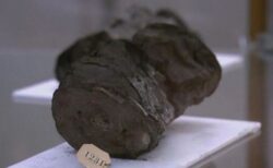 約2000年前の古代の巻物、AIを駆使して内部の画像生成に成功