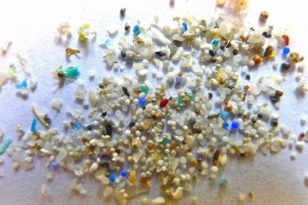 人間の脳内にもマイクロプラスチックが蓄積、増加傾向が明らかに