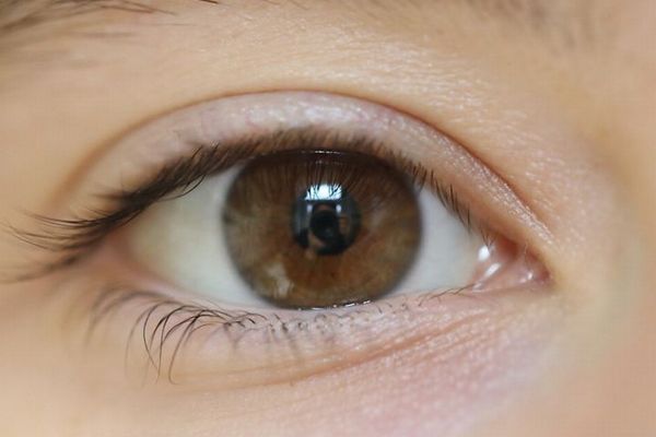 これまで誰も見たことのない「新しい色」を発見、科学者らが主張