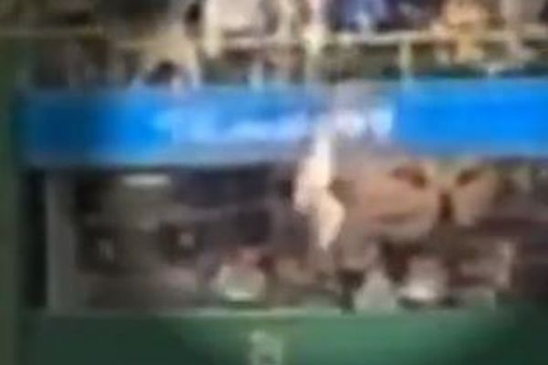 「カブス」対「パイレーツ」の試合で、観客が客席からグランドに転落し重体