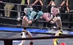 中国でヒューマノイド・ロボットが、キックボクシングの試合で対戦【動画】