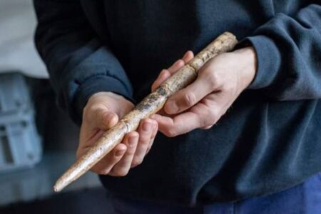 人類は2万年前からクジラの骨で道具を作っていた！