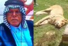 イスラエル大使が京都のゲストハウスに圧力、戦争犯罪を否定する宣誓書を非難