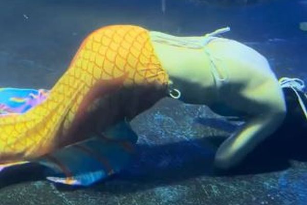 中国の水族館で、人魚のパフォーマンスをしていた女性が失神【動画】