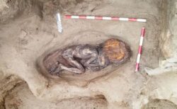 古代アンデス文明の遺跡から、保存状態の良い女性の遺体を発見