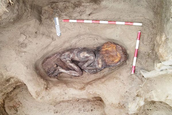 古代アンデス文明の遺跡から、保存状態の良い女性の遺体を発見