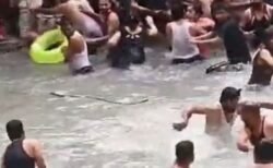 インドの滝にヘビが出現、水を浴びていた観光客がパニックに【動画】