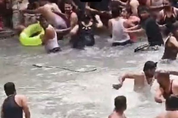 インドの滝にヘビが出現、水を浴びていた観光客がパニックに【動画】