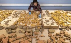 世界一難しいジグソーパズル？研究者が古代ローマのフレスコ画を復元