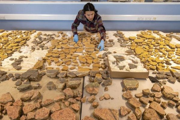 世界一難しいジグソーパズル?研究者が古代ローマのフレスコ画を復元