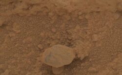 火星にキノコ？NASAの探査ローバーが撮影した写真が話題に