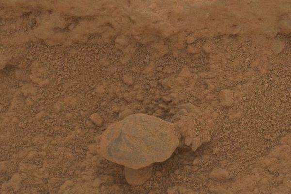 火星にキノコ?NASAの探査ローバーが撮影した写真が話題に