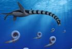 8500万年前に生息していた首長竜、新種の「トラスカサウラ・サンドラエ」と命名