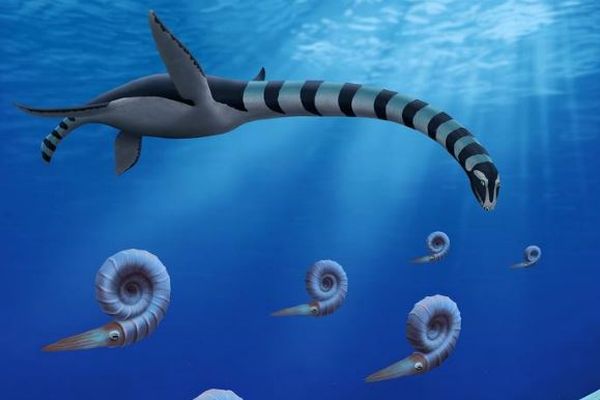 8500万年前に生息していた首長竜、新種の「トラスカサウラ・サンドラエ」と命名