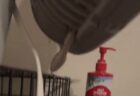なぜそこに？部屋にあった扇風機の中に、ヘビが忍び込んでいた！【動画】