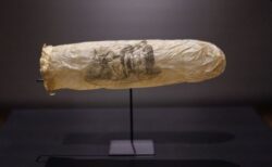 オランダの美術館で、約200年前の珍しい「コンドーム」を展示