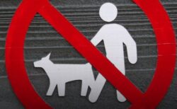 イランで、犬の散歩禁止が全国の都市に拡大