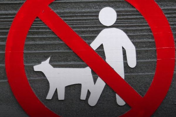 イランで、犬の散歩禁止が全国の都市に拡大