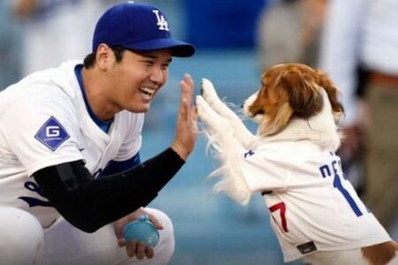 大谷翔平選手、愛犬「デコピン」を主人公にした児童書を共同執筆