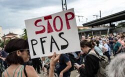腸内細菌が有害な「Pfas」を吸収、マウスの体外への排出を助ける