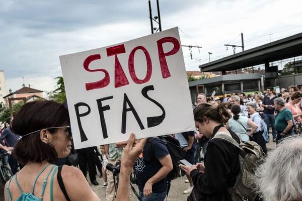 腸内細菌が有害な「Pfas」を吸収、マウスの体外への排出を助ける
