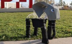 世界初のゾウのロボット、長い鼻で物を掴むことも可能【動画】
