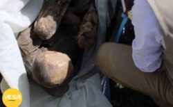 ペルーで男性逮捕：600年前に埋葬された“恋人”と外出