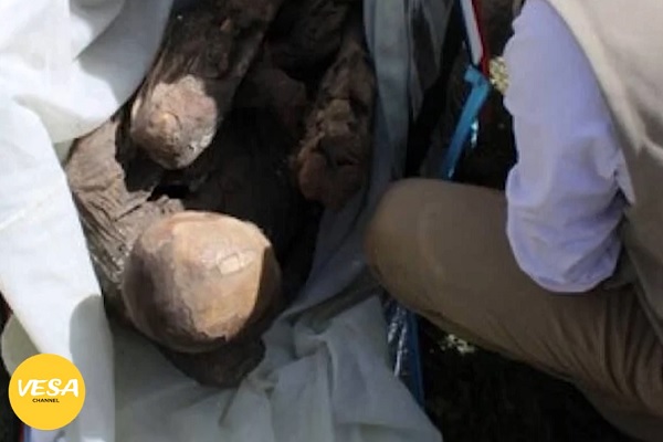 ペルーで男性逮捕：600年前に埋葬された“恋人”と外出