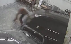 自動車修理工が、コントロール不能の車に股間のモノを潰される